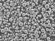 BRS系列_多分散PBMA微球